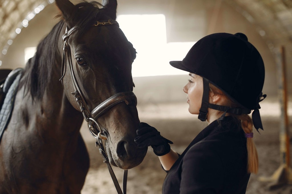Преимущества страхования для конного спорта на Ингуро