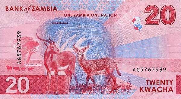 Замбия: 20 квачей 2024 г. (реверс)